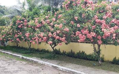 S2CS6901